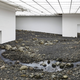 Illustration for article titled See an Entire Muddy River Bed Transplanted Inside an Art Museum